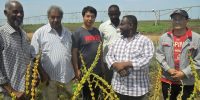 Sudanese Chinese Center for the transfer of agricultural technologies