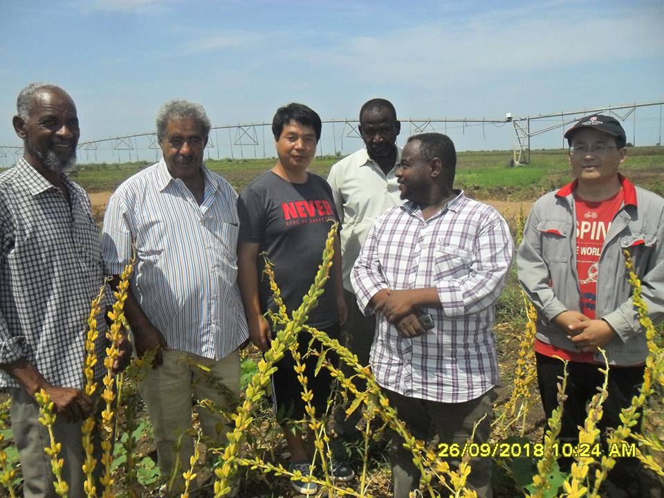 المركز السوداني الصيني لنقل التقانات الزراعية