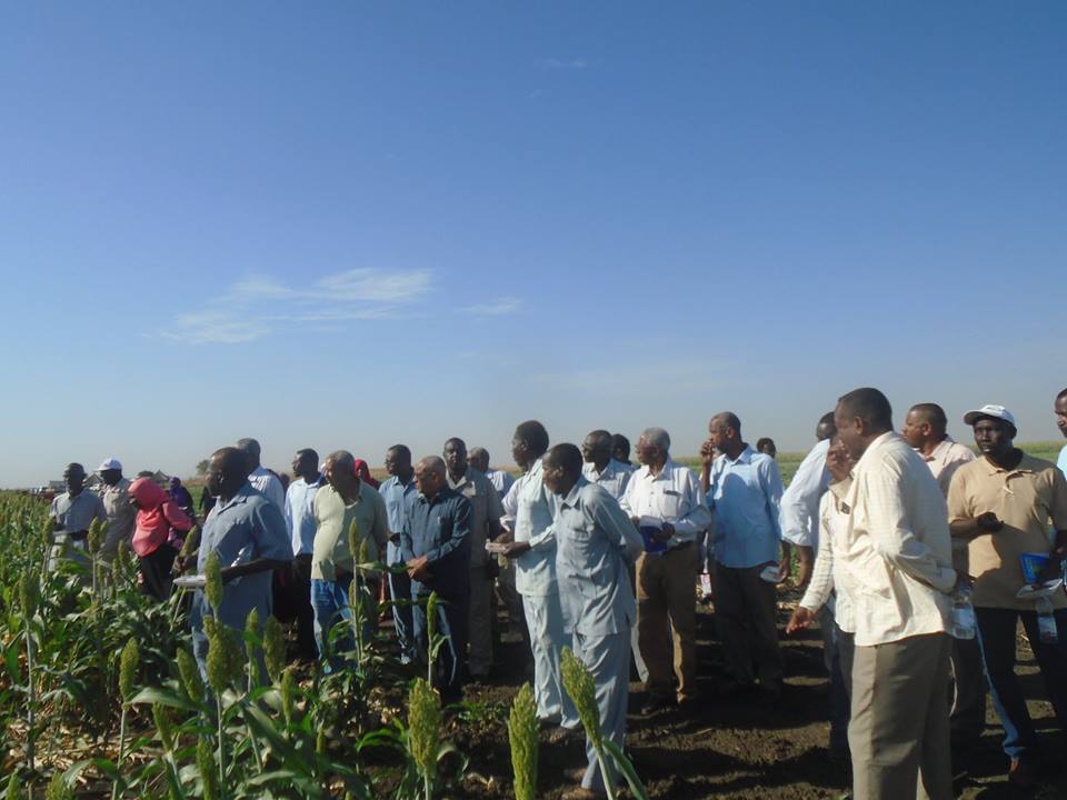 Gadaref Research Station Field Day